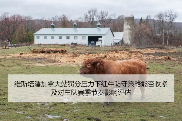wei-si-ta-pan-jia-na-da-zhan-fa-fen-ya-li-xia-hong-niu-fang-shou-ce-lve-neng-fou-shou-jin-ji-dui-che-dui-sai-ji-jie-zou-2-300.jpg
