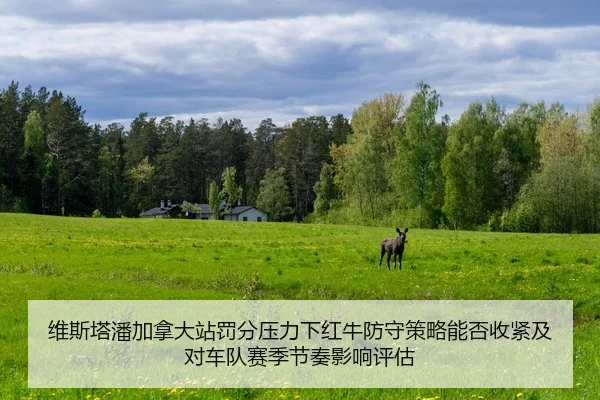 维斯塔潘加拿大站罚分压力下红牛防守策略能否收紧及对车队赛季节奏影响评估